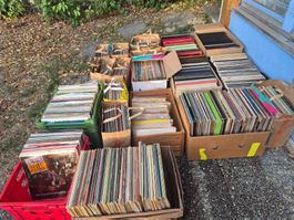 Grande collection vinyles (environ 1500 disques)