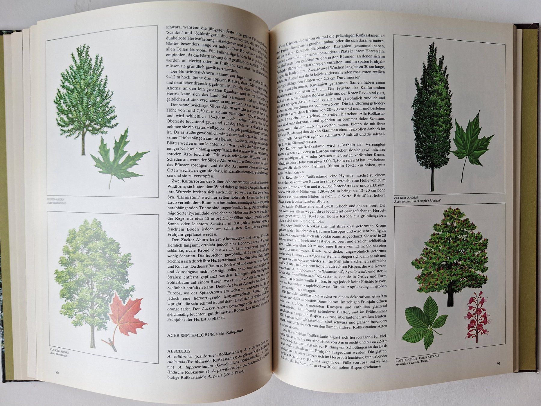 Livres: Bäume, Time-Life Handbuch der Gartenkunde – D'occasion à Zürich par t24_de 6