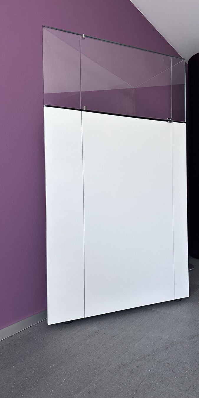 Vitrinen: Einzelvitrine "Monolit" von Team by Wellis – Gebraucht aus Meikirch von tes_y6sc