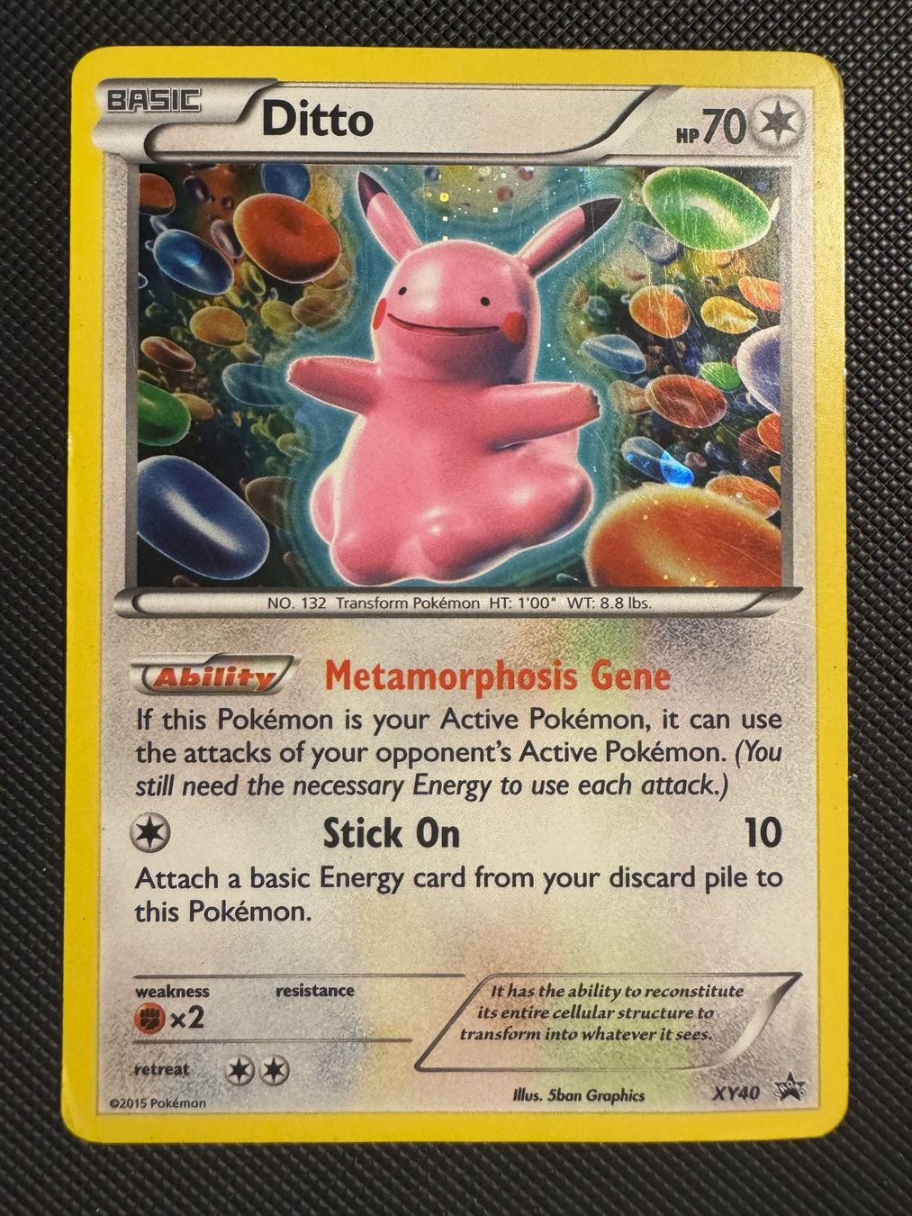 Pokémon Carte collezionabili: Ditto Holo Promo XY40 ENG – Usato da Binz venduto da savalp