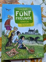 Fünf Freunde Junior Die Suche nach dem Rennpferd Buch