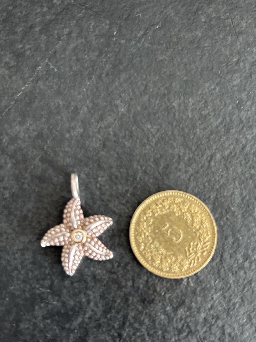 Thomas Sabo Ciondoli: Thomas Sabo Seastar Anhänger – Nuovo (secondo la descrizione) da Pratteln venduto da sab_whk9 2