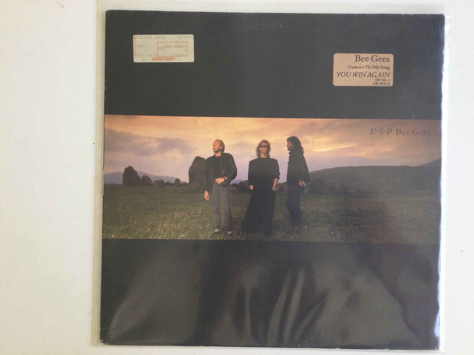 Dischi in vinile: Bee Gees LP - ESP – Usato da Gutenswil venduto da Hamzian