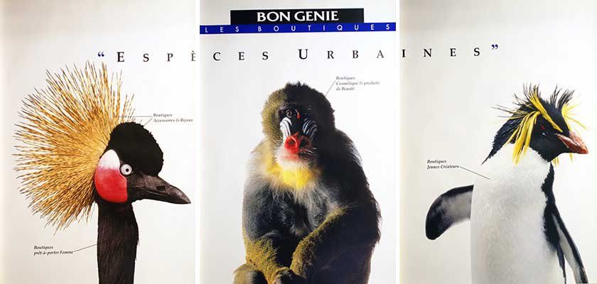 Foto & Immagini: Städtische Vielfalt / Espèces Urbaines – Nuovo (secondo la descrizione) da Bern venduto da Vintage-Art-Poster 3