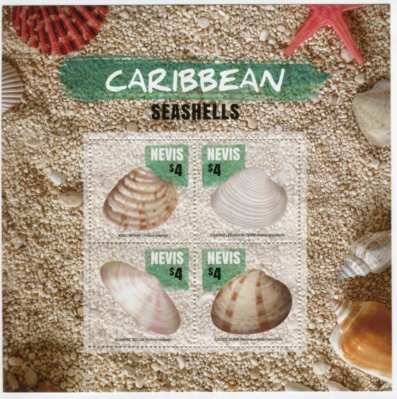 Alle Briefmarken: Block "Muscheln". Nevis. – Neu und originalverpackt aus Basel von Butsch5