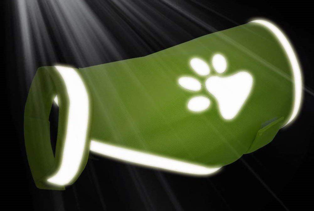 Vêtements: Hunde Leuchtweste / Warnweste - L – Neuf avec emballage d'origine à Utzigen par Flyblue 2