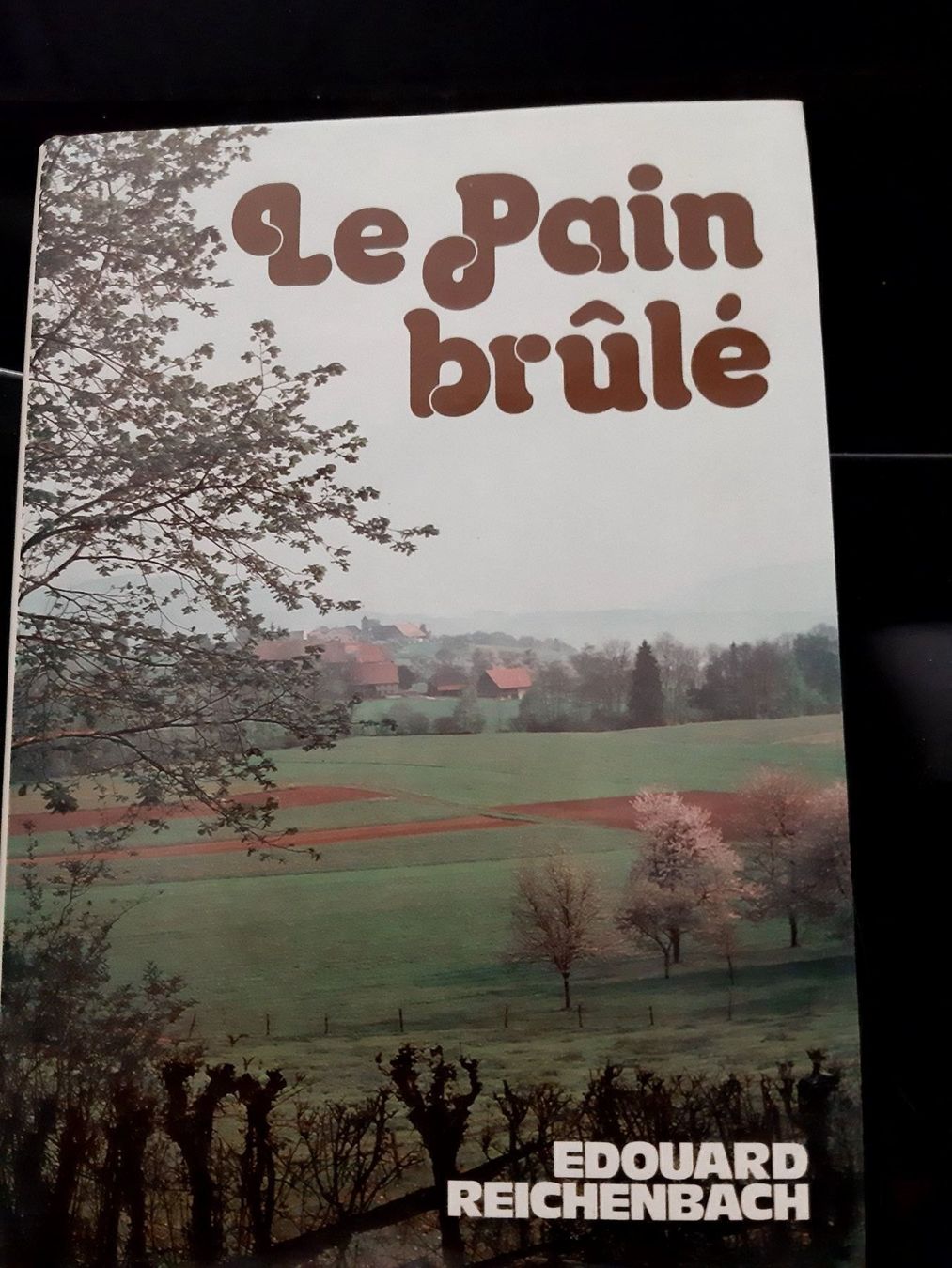 Libri: Le pain brulé – Usato da Le locle venduto da juliensaran