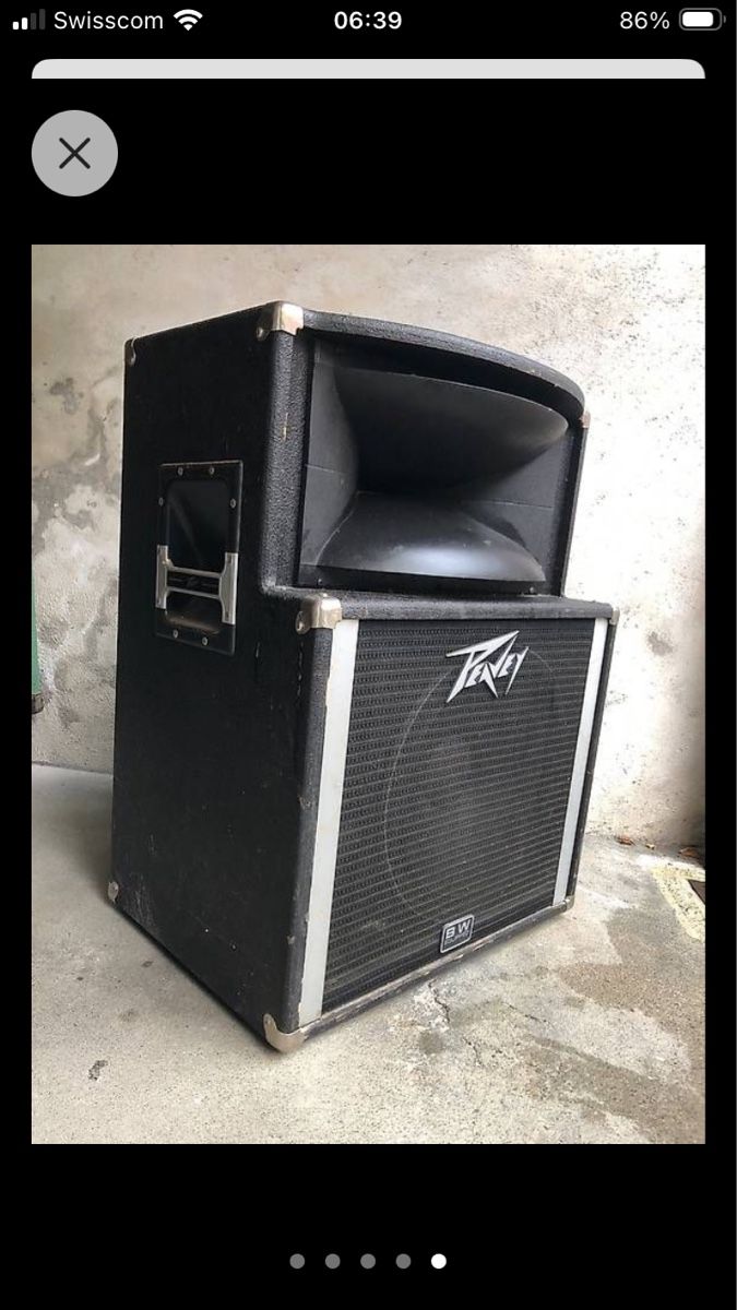 Casse acustiche: Peavey Binson – Usato da Chernex venduto da Nouveaunom