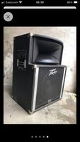 Peavey Binson
