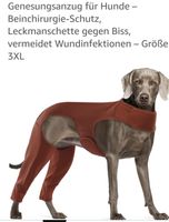 Genesungsanzug für hunde nach KNIE Operation.