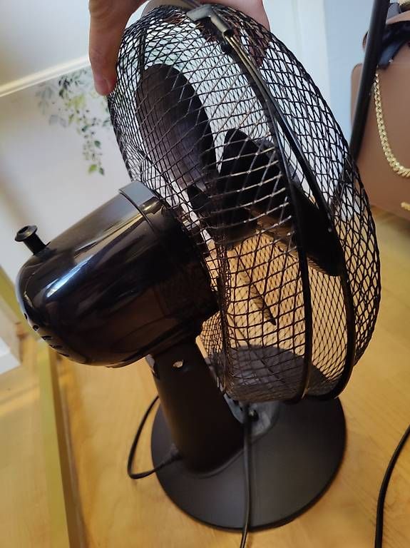 Ventilatori: Ventilator für die nächste Saison  – Usato da Basel venduto da viajesdemelli 1