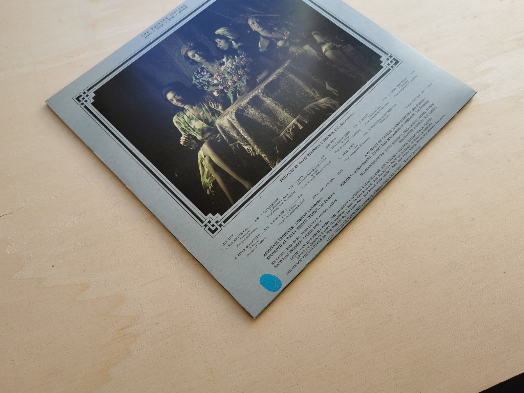 Dischi in vinile: The Pointer Sisters – The Pointer Sisters  D 73 – Usato da Ebikon venduto da kisuM 6