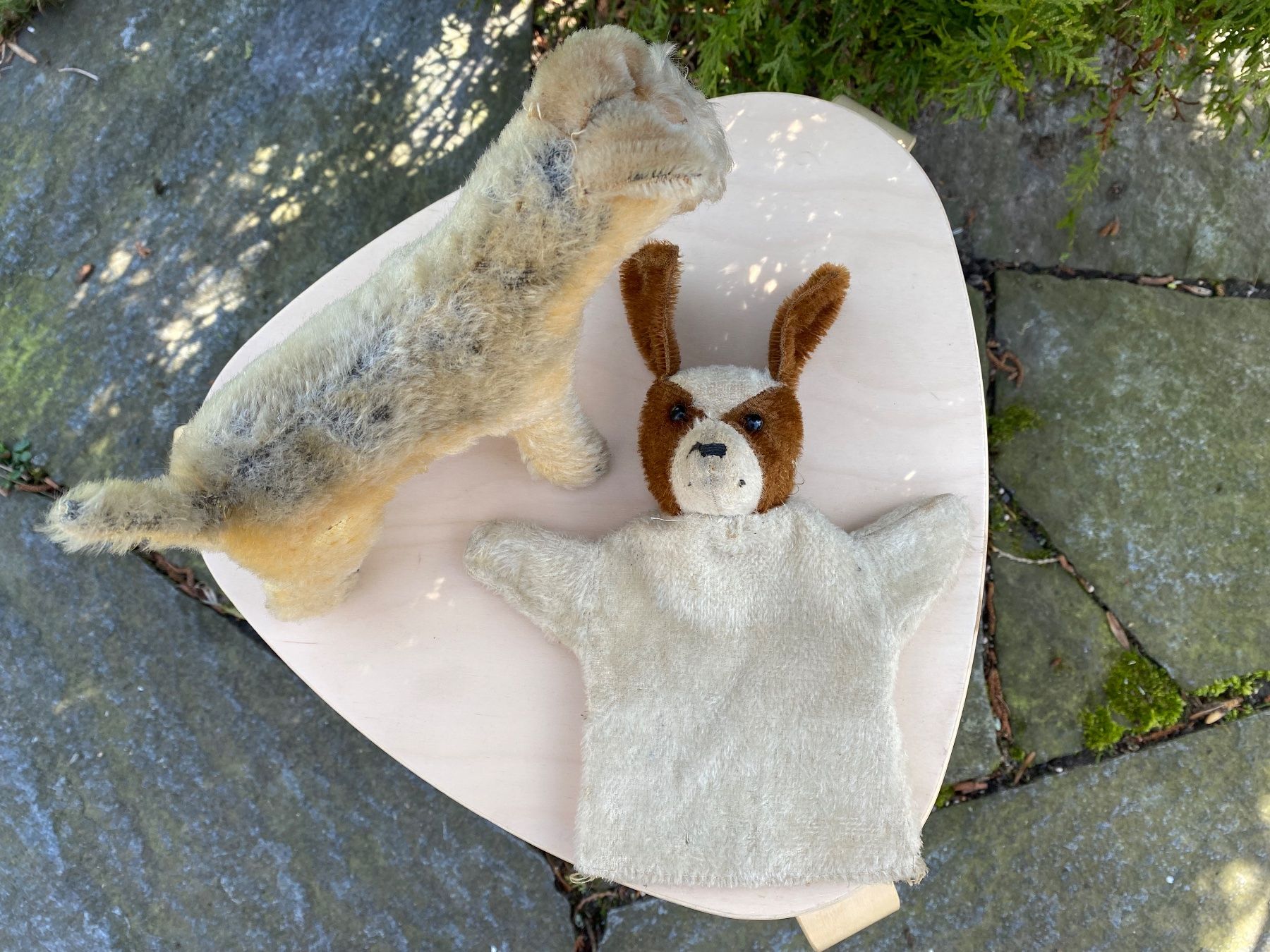 Giocattoli: antiker Terrier und Handpuppen-Hund – Usato da Feldbach venduto da Olive1 2