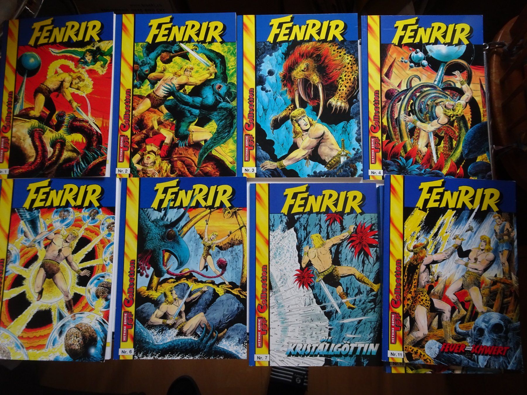BD: Fenrir Comic Sammlung, Hefte 1-11, Top Zustand SC – D'occasion à Schönenwerd par schnitzunddrunter