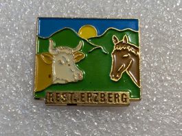 Ansteckpin 278: Restaurant Erzberg