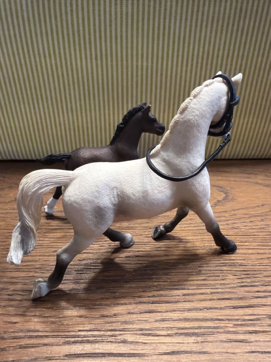 Schleich Giocattoli: Schleich Pferd mit Fohlen 4 – Usato da Auw venduto da grisu81 2