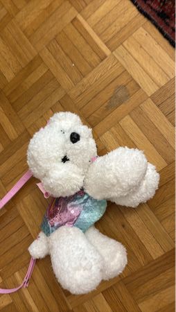 Süsser Hunde Tasche für Kinder - Perfekt für den Frühling