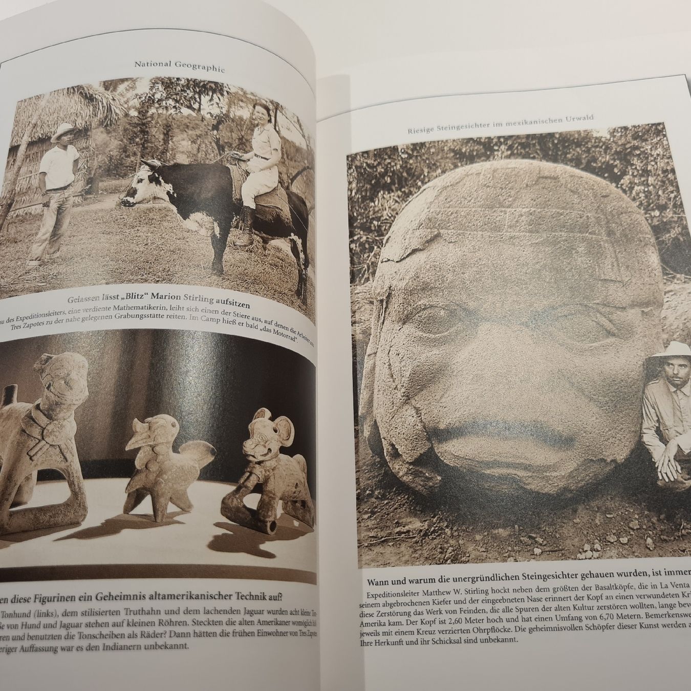 Libri: National Geographic Bibliothek – Usato da Steinen venduto da turbogeiss99 8