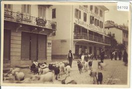 Hotel-Pension de Salvan & des Gorges du Triege - Ziegen Chev