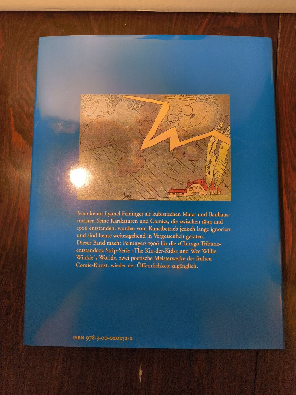 Comics: Buch Comic Kunst des Lyonel Feininger Deutsch Englisch – Gebraucht aus stettlen von VintageBern_ch 1