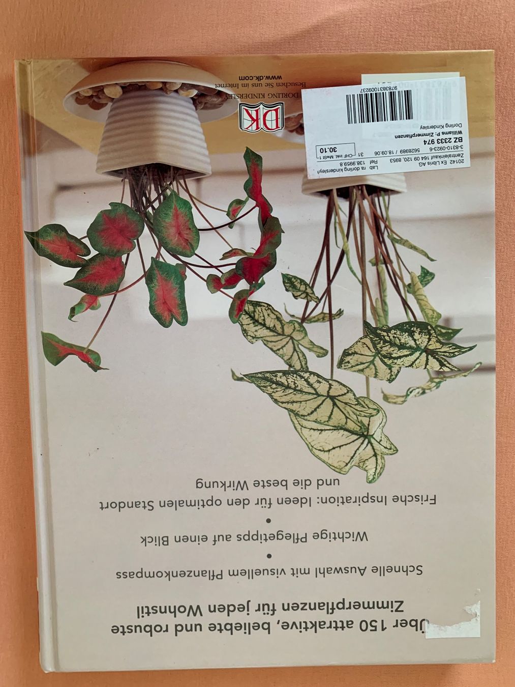Libri: Zimmerpflanzen Buch  Paul Williams – Usato da Wettswil venduto da cipollina71 1