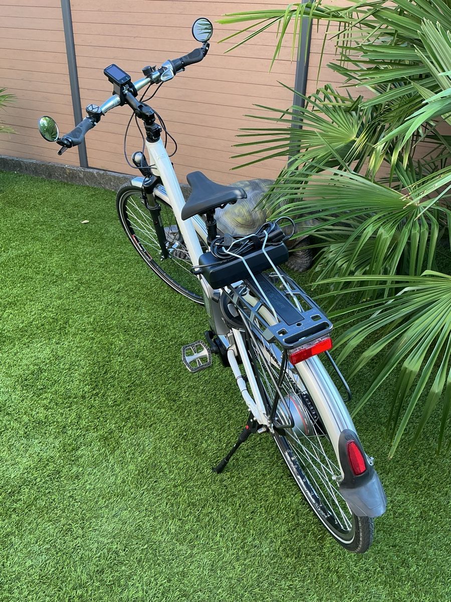 Flyer Biciclette: Fleyer E Bike ab Service  – Usato da Oberbuchsiten venduto da Tesin3 2