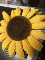 14x schöne Dekor Sonnenblumen 14cm