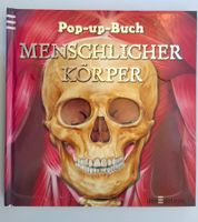 Pop-up-Buch 2008 / Menschlicher Körper ab Fr. 10.-