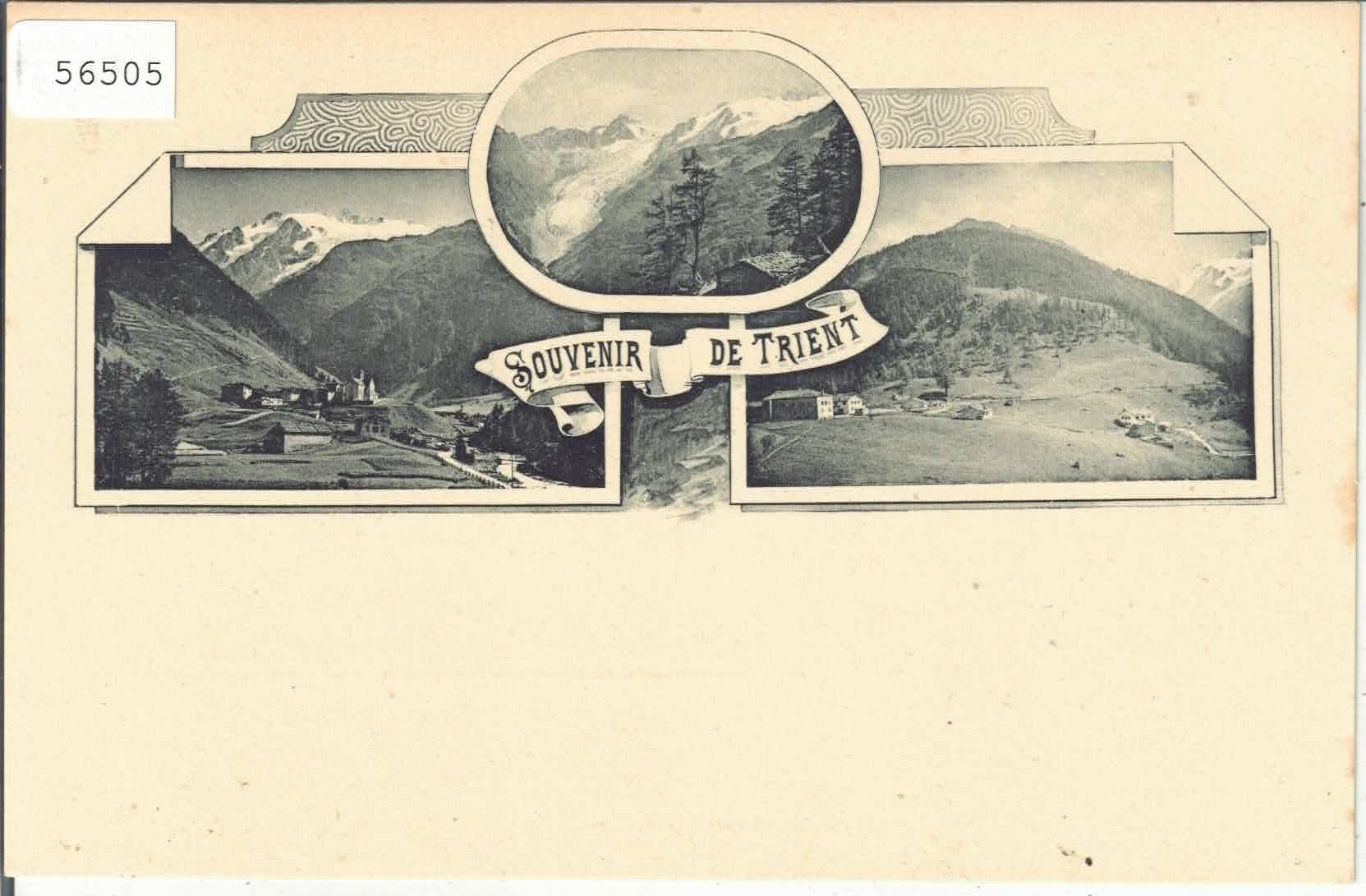 Ansichtskarten: Souvenir de Trient – Gebraucht aus Ettingen von Kartenplanet
