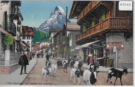 Zermatt - La rentrée des chevres - Ziegen - Litho