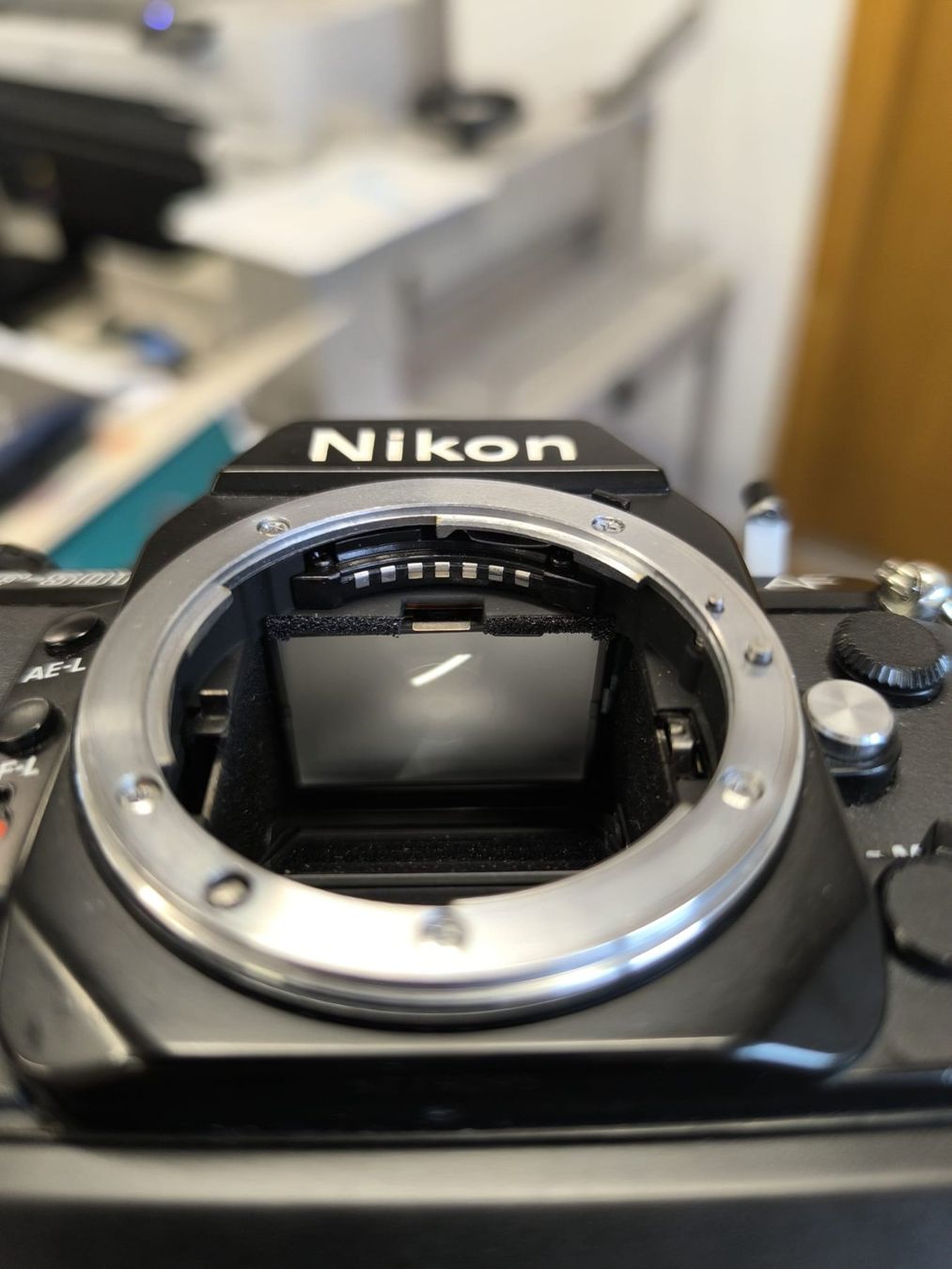 Nikon Fotocamera: Nikon F501 – Usato da Conthey venduto da costafrederico 7