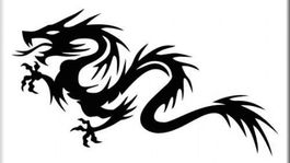 Dragon Aufkleber  Motorhube Top angebot