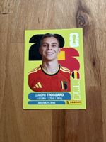 Panini Sticker BEL 18