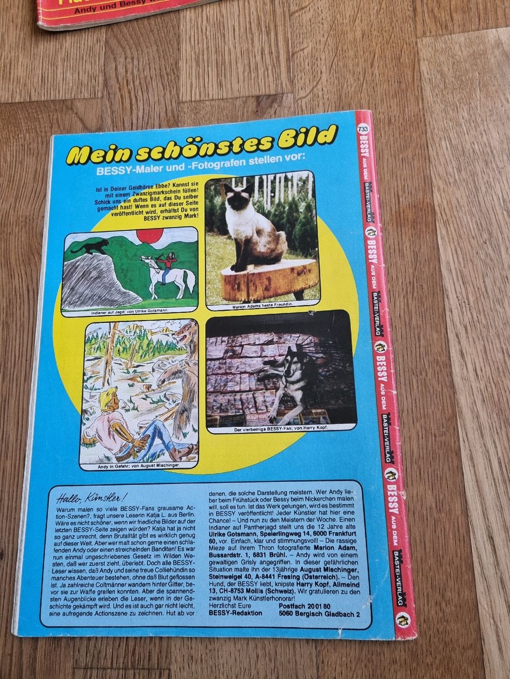 Fumetti: Bessy Heft Nr. 733 – Usato da Oberentfelden venduto da Giants 1