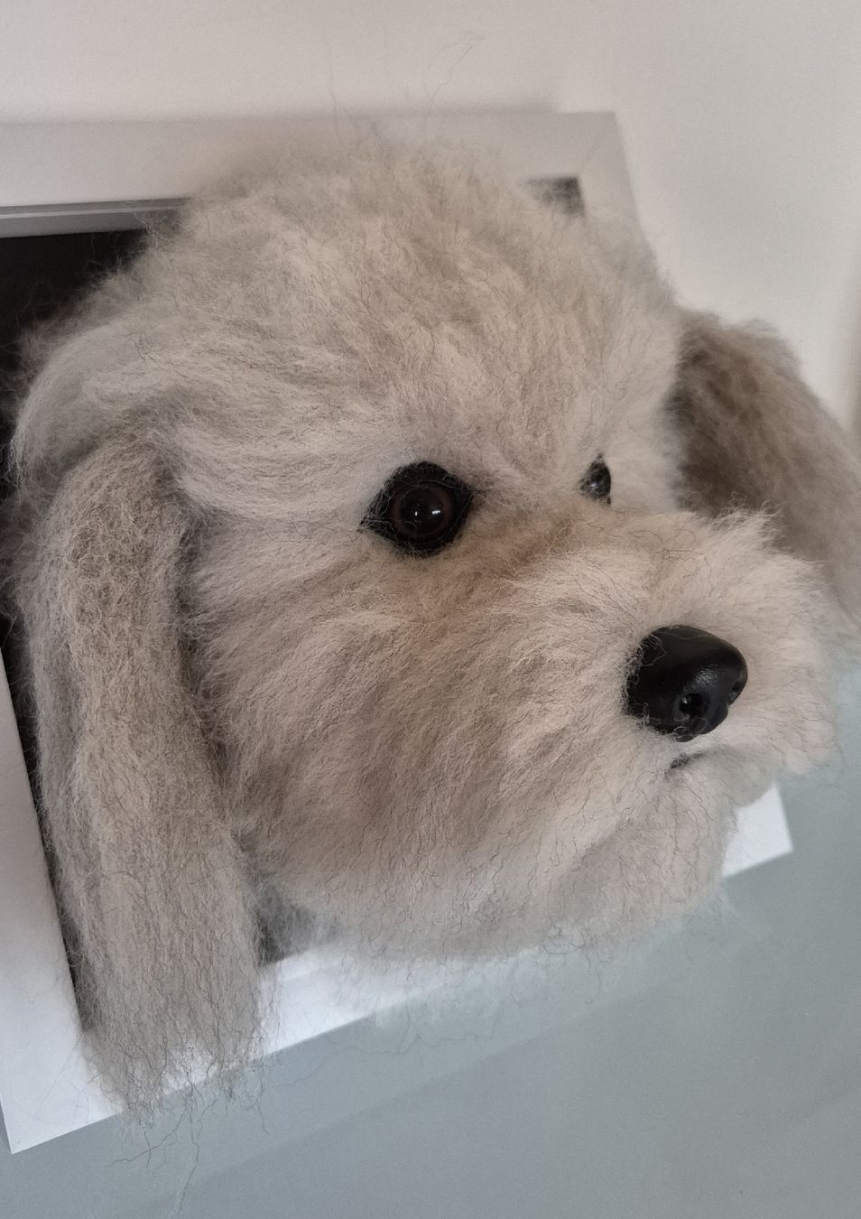 Foto & Immagini: 3D Hundeportrait im Rahmen - Handgemacht! – Nuovo (secondo la descrizione) da Moutier venduto da Maria1704 2