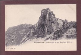 SCHYNIGE PLATTE - Daube - Gumihorn