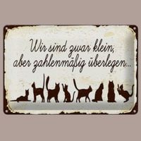 🔥 KATZEN ZAHLENMÄSSIG ÜBERLEGEN Blechschild🎀12x18cm OVP 🔥