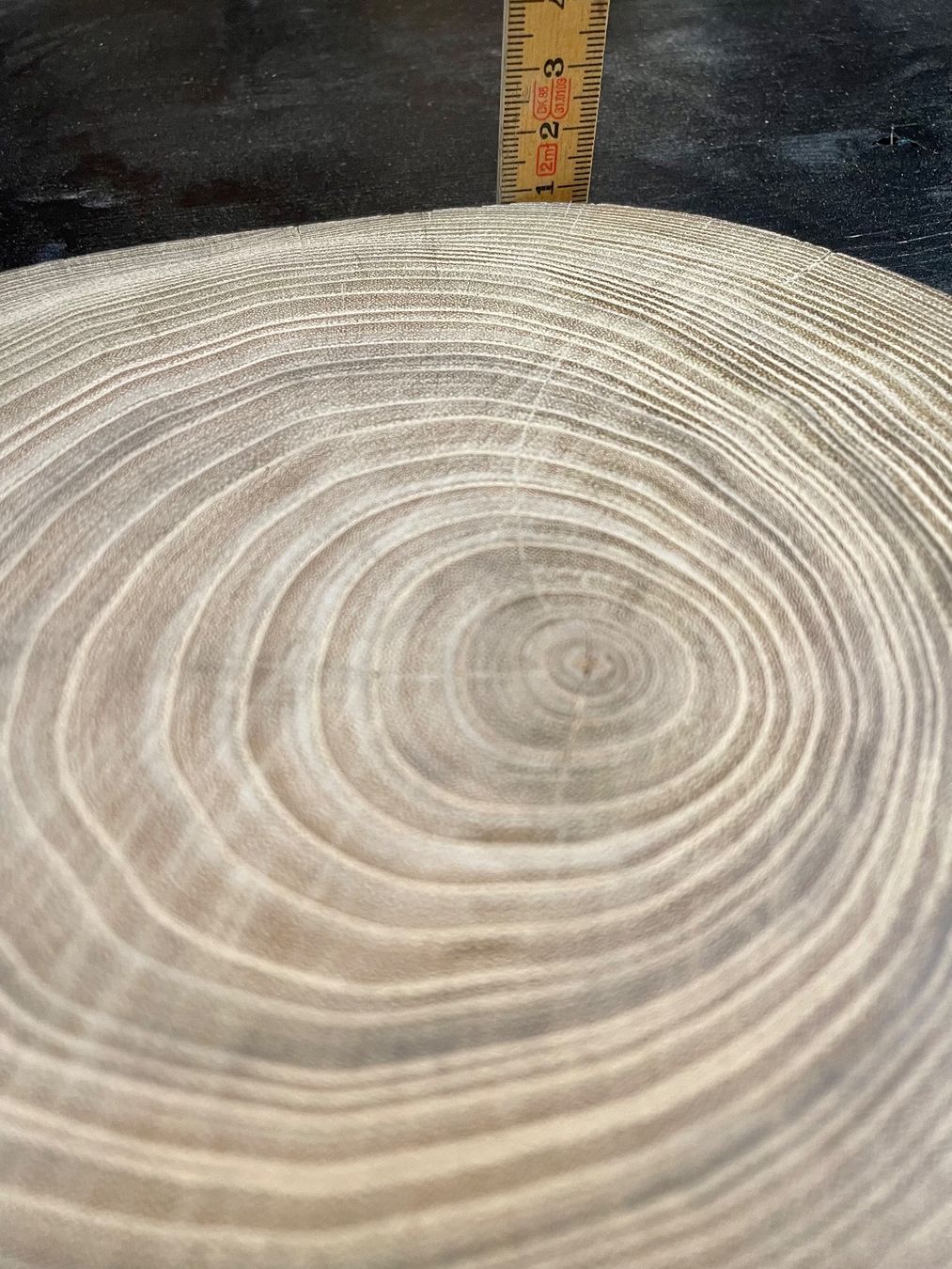 Articoli in legno: Holzscheibe Robinie nr.4 – Usato da Brunnen venduto da Holz-style 4