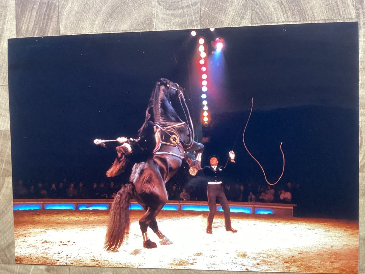 Posters & Illustrations: Circus Knie Foto 1988 – D'occasion à Reichenbach i. K. par astra2010