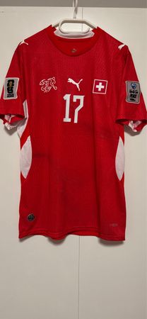 Schweizer Nati Trikot / Vargas