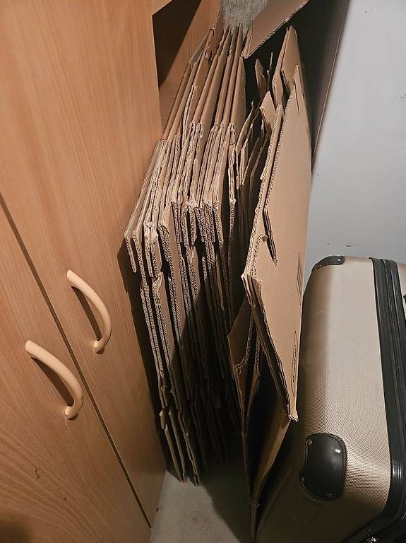 Cartoni: 15 Zügelboxen – Usato da Roggliswil venduto da Amita59