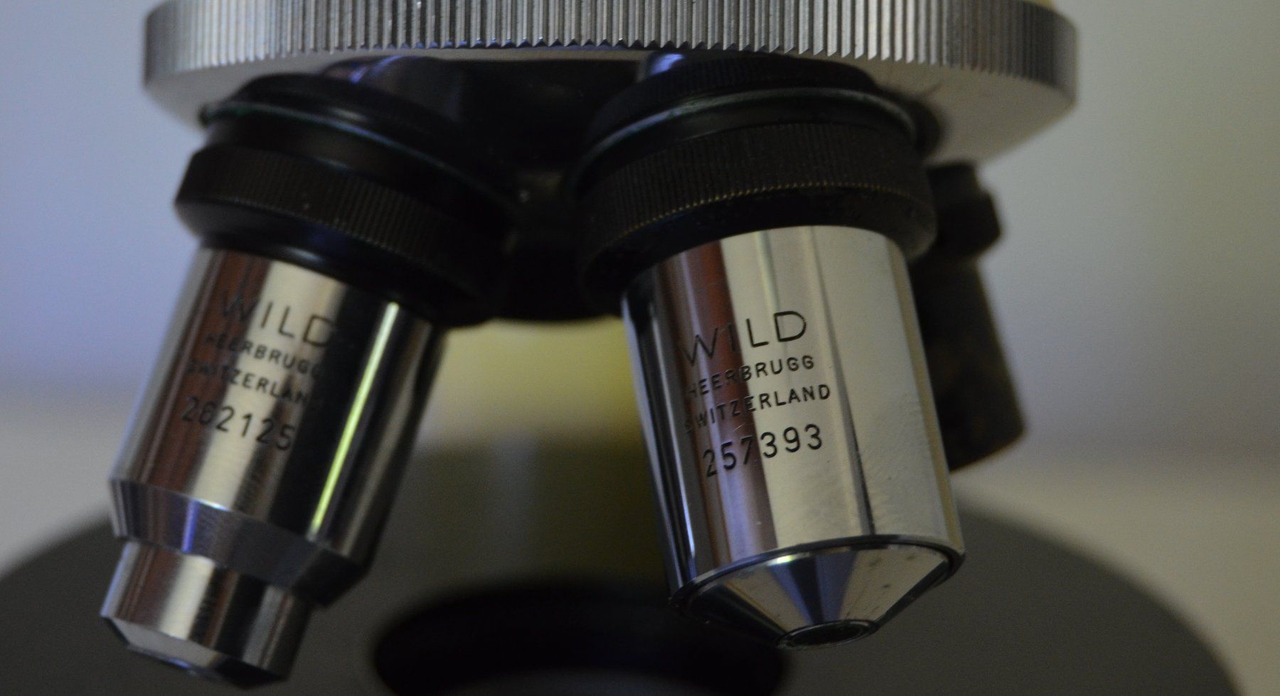 Wild Microscopi: Wild Heerbrugg M11 Mikroskop  / microscope – Usato da Collonges venduto da arashee 8