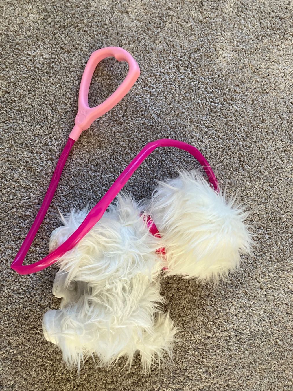 Giocattoli: Hund Fluffy – Usato da Wichtrach venduto da mryter01 2