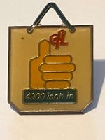1 Pin GFL 4900 isch in