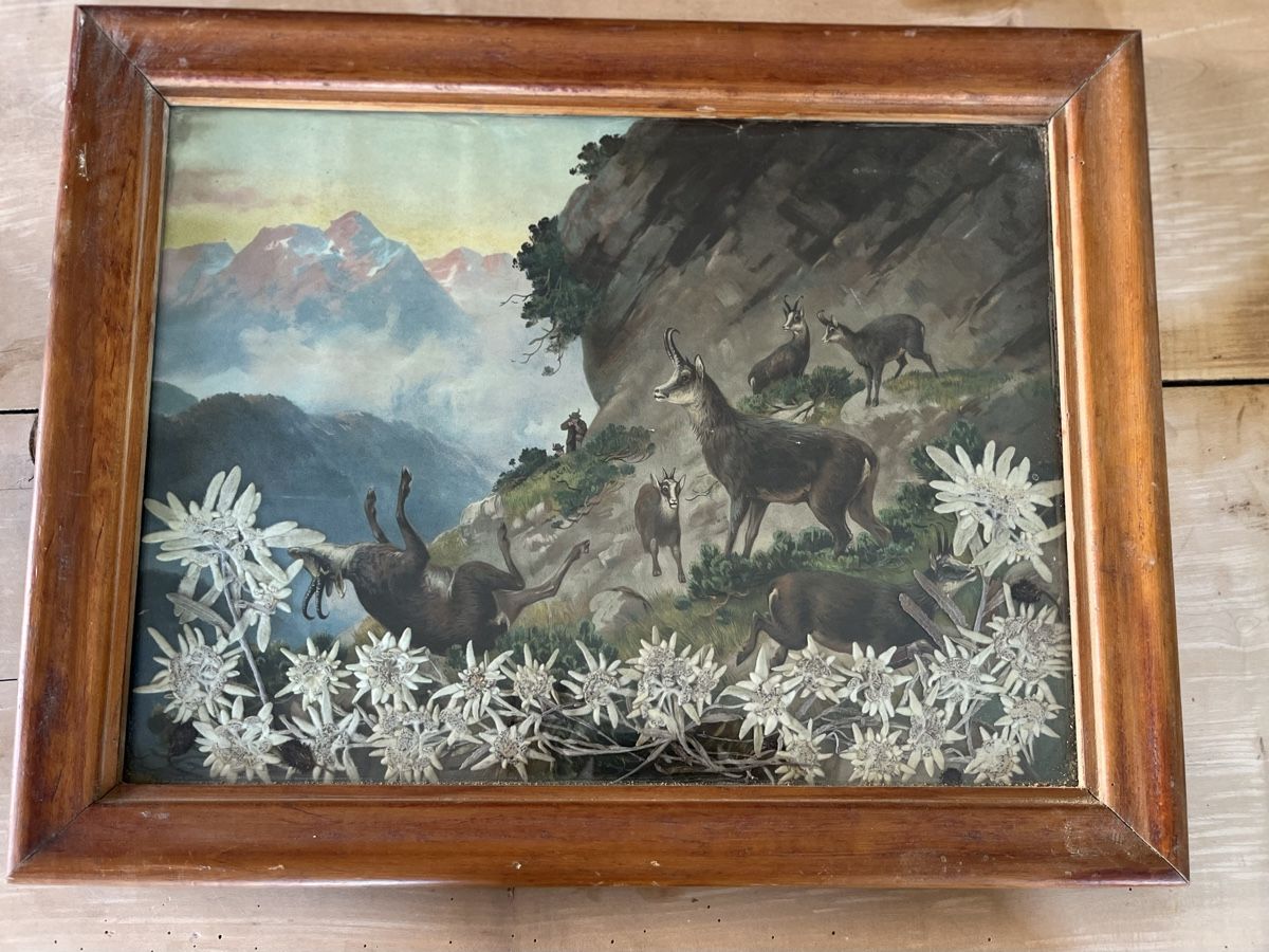 Posters & Illustrations: Jagdszene mit echten Edelweiss – D'occasion à Ottikon par san_w99n 1
