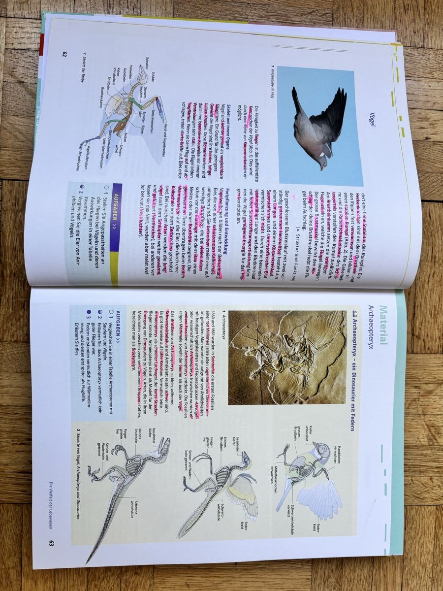 Libri: Natur 9-12 – Usato da Thun venduto da bif_my7y 2