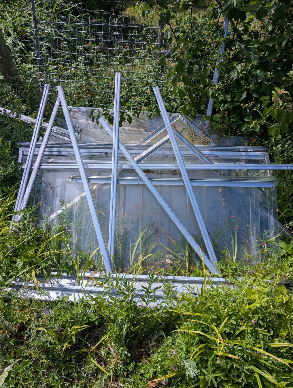 Casette da giardino & serre: grosses Gewächshaus – Difettoso da Zumikon venduto da Kapitalist