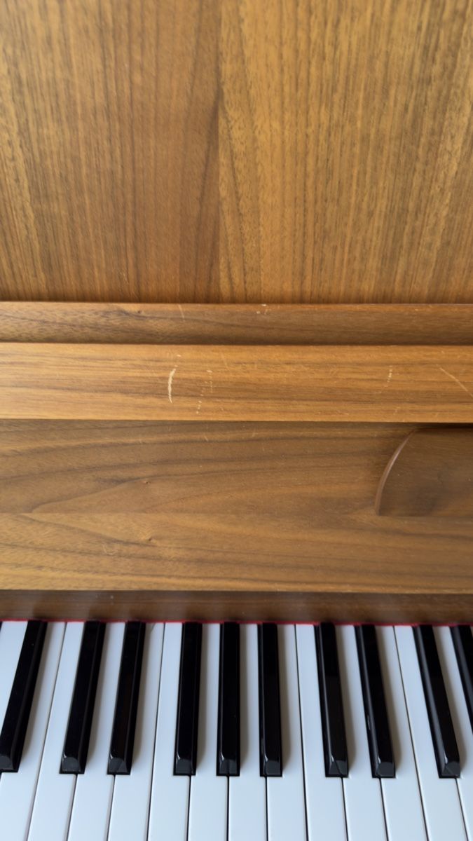 Hohner Strumenti musicali: Hohner Modell 106-1 – Usato da Dällikon venduto da Niklas2000 1