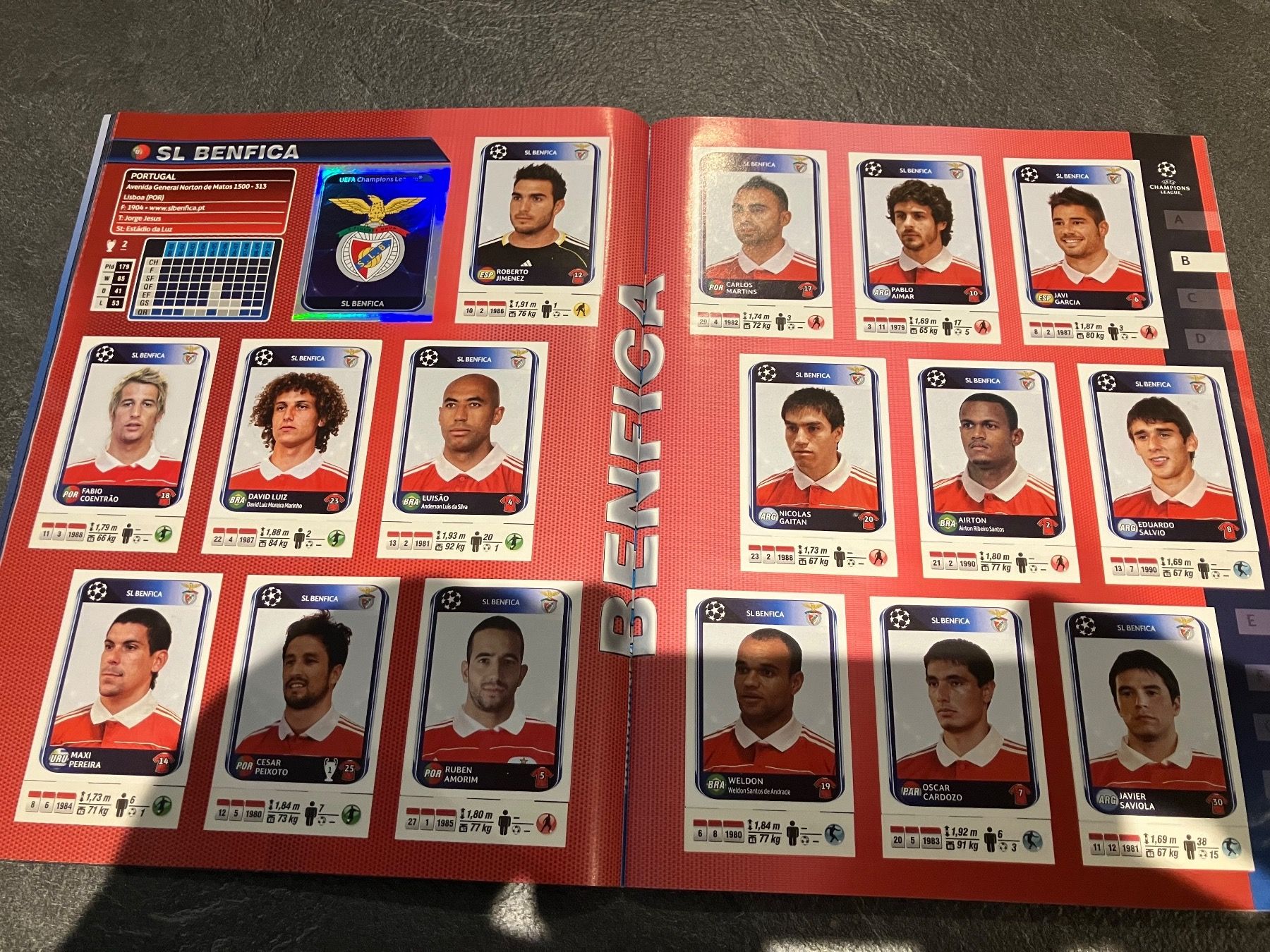 Panini Alben: Panini Champions League 2010-2011 – Gebraucht aus Daillon von Camus82 2