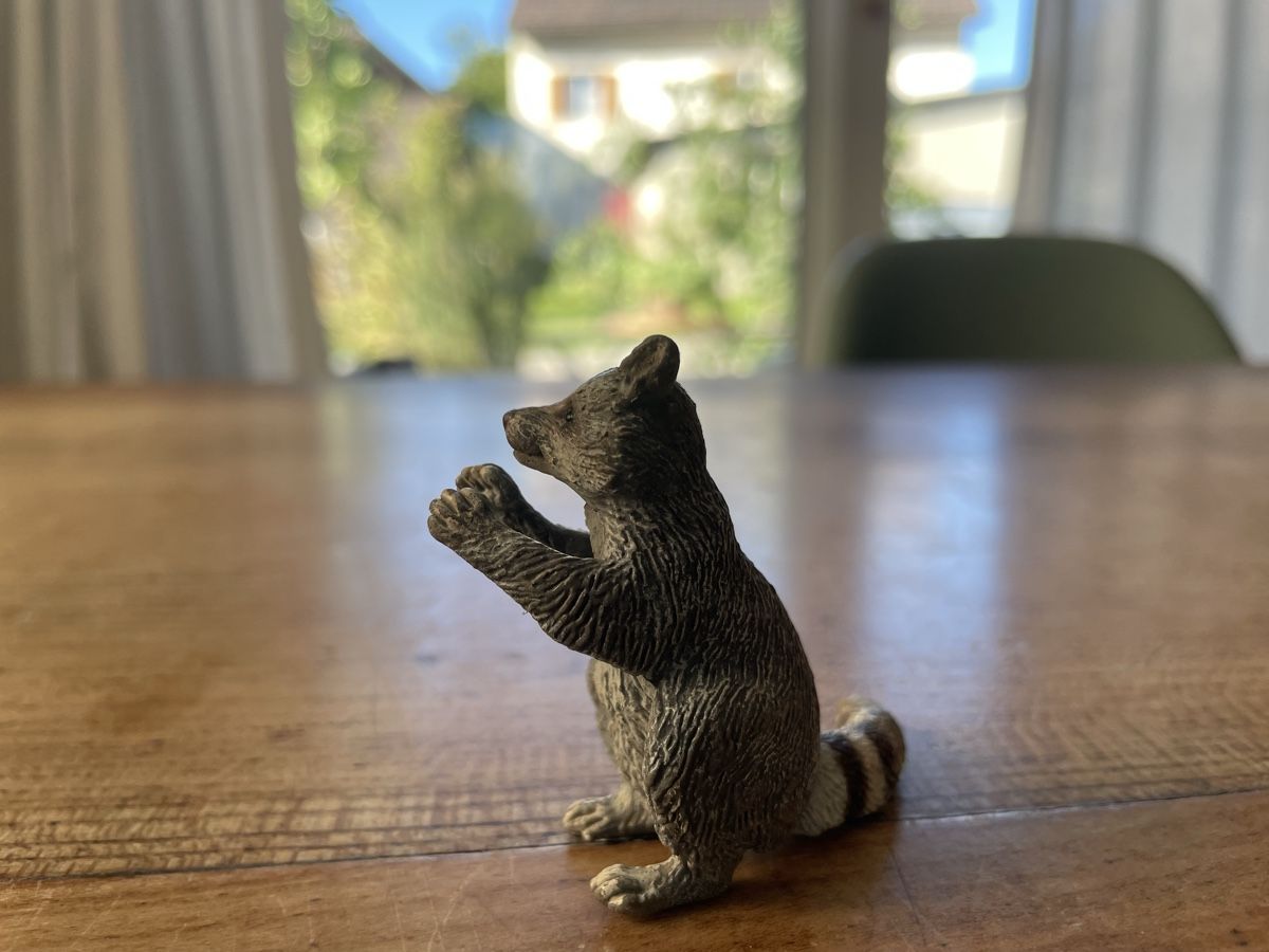 Schleich Giocattoli: Schleich Waschbär – Usato da Bonstetten venduto da soleillle 2
